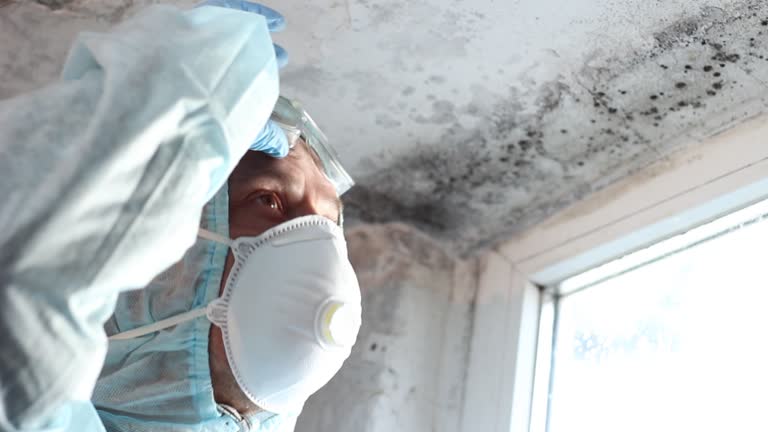 Why You Should Choose Our Mold Remediation Services in Finley, WA